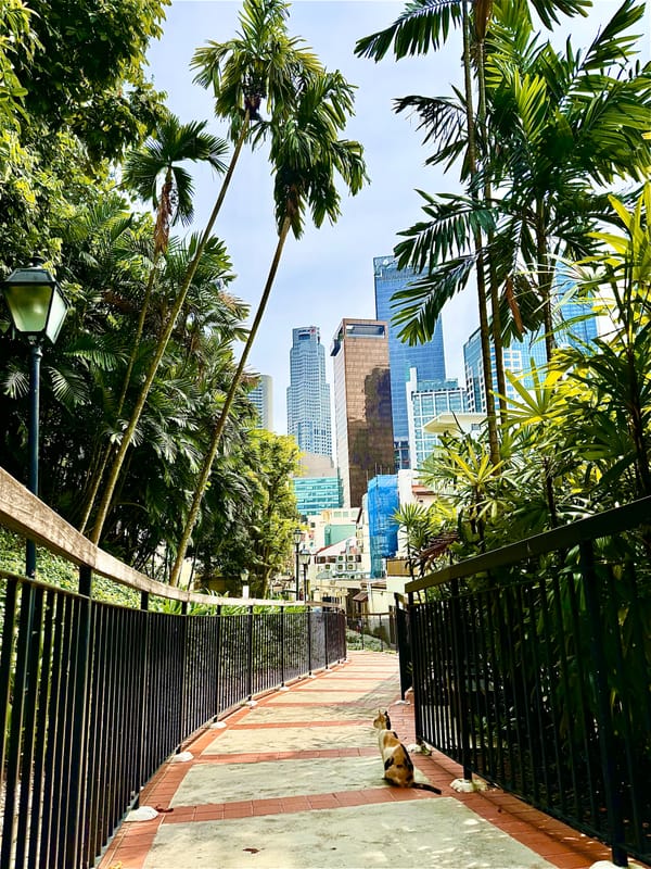 The Story of Singapore